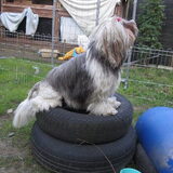 Kai@Belgische GH (training thuis)