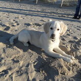 Foto van Luca