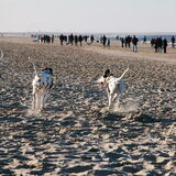 DINfondswandeling Kijkduin
