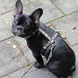 Bruce toen hij meeging naar center parcs :D