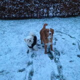 Sandy en Diva