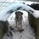 ik moest even kijken wat er in de tunnel was, dat was echt reuze…