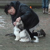 Examen 8-12-2012 Tandjes kijken