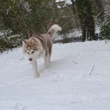 Sneeeeuw!