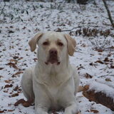 Foto van esther