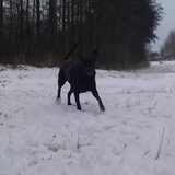 Foto van Erika & Faya  ?BRL?