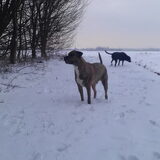 Foto van Erika & Faya  ?BRL?