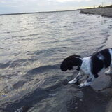 kennismaken met het water