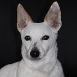 Billy