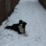 Foto van Vivian   <3    Sem