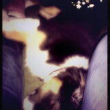 Zoooo lief als ie slaapt! ?