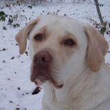 Foto van esther