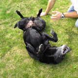 lekker spelen met paps!