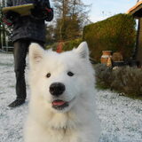 mikai 15/1/13