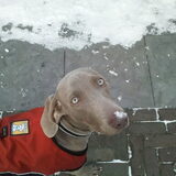Sneeuw is leuk :-)