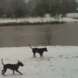 Sneeuw pret