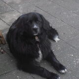 Foto van tessa