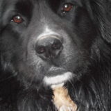 Foto van tessa