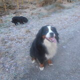 Foto van tessa