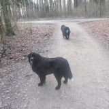 Foto van tessa