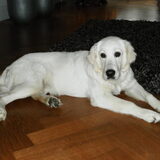 7 maandjes oud