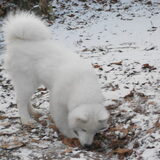 mikai 13/1/13