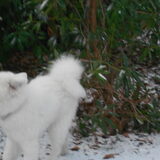 mikai 13/1/13