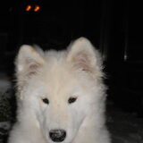 mikai 15/1/13