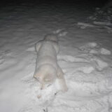 mikai 15/1/13