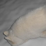 mikai 15/1/13