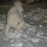 mikai 15/1/13