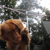 Foto van judith