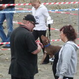 netjes naast lopen