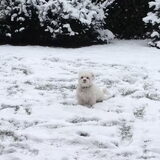 Sneeuw!!