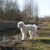 Foto van Jenny
