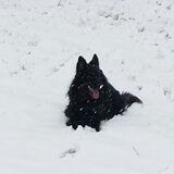 Sneeuw vind ze echt het vetste wat er is!