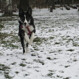 in de tuin na onze wandeling...