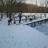zou ik wel op het bruggetje lopen woeff best eng hoor