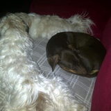 Circle of love....