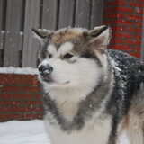 Foto van Marlyn