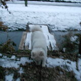 mikai 18/1/13