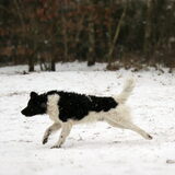 Rennen!