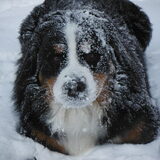 lekker in de sneeuw!