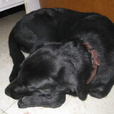sept 2009 - een dutje doen