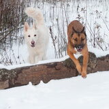 Foto van Hetty & Skipper