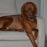 Foto van Mario