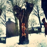 Foto van Chre & Djago & Anisa & Elvis