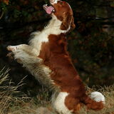 Foto van Demi - Rosie