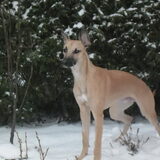 sneeuw is super leuk