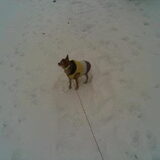 Sneeuw 2013